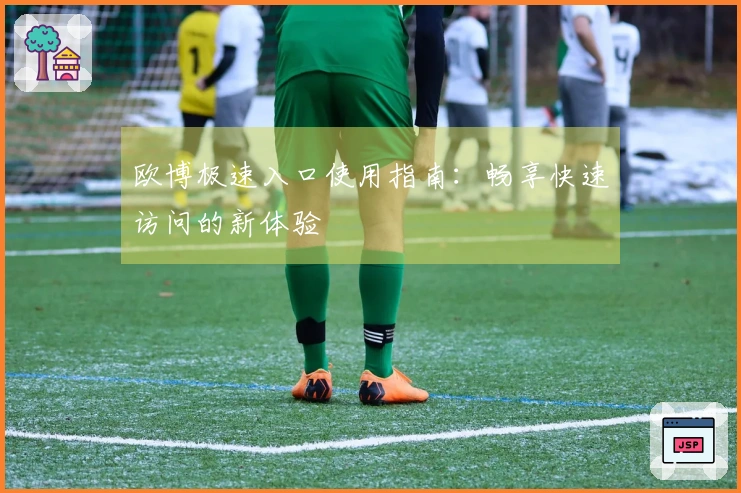 欧博极速入口使用指南：畅享快速访问的新体验