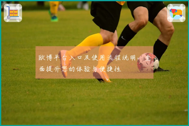 欧博平台入口及使用流程说明，全面提升您的体验与便捷性