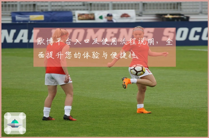 欧博平台入口及使用流程说明，全面提升您的体验与便捷性