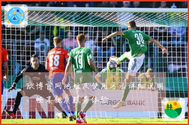 欧博官网地址及使用方法详细说明，畅享优质服务体验