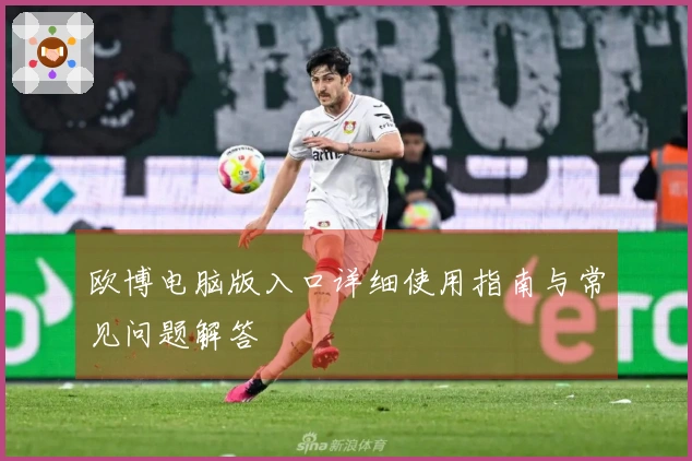 欧博电脑版入口详细使用指南与常见问题解答